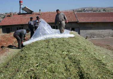 M?s?r silaj?n?n stnn kapat?lmas?